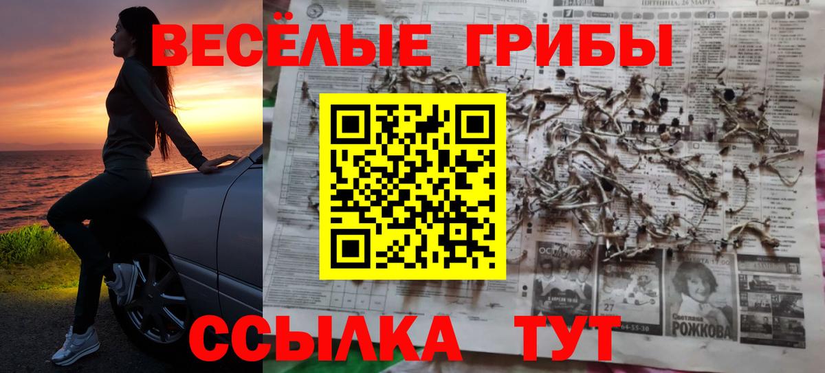 Галлюциногенные грибы прущие грибы Белогорск